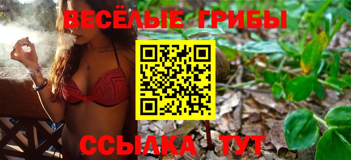 Псилоцибиновые грибы Psilocybe  Галлюциногенные грибы Psilocybe  Вход с VPN  где найти наркотики  Чайковский 